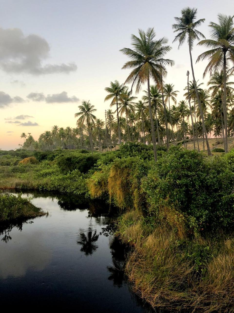 Lindo Village Imbassai Mata de Sao Joao Kültér fotó